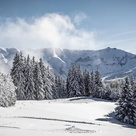 Duplex Lumineux A Megeve, Proche Telecabine Du Jaillet, 2 En Suite, Parking, Casier A - Fr-1-569-77 דירה